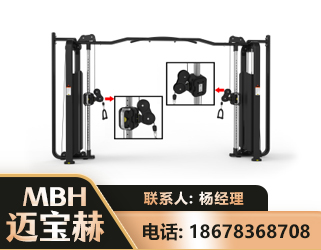 濮阳大飞鸟训练器