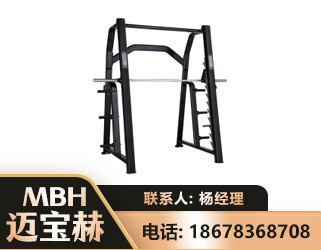 濮阳史密斯机
